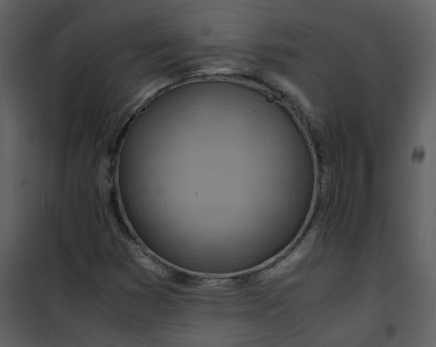 X0000101171353200807181413