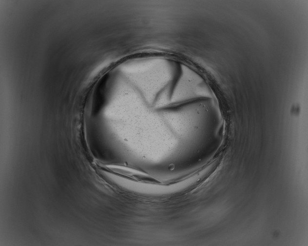 X0000101171355200807181413