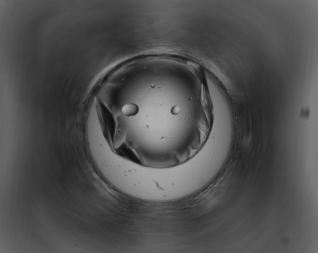 X0000101171356200807181413