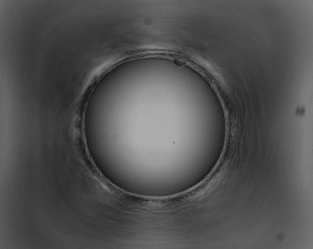 X0000101171357200807181413
