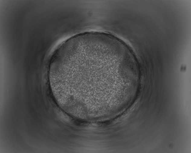 X0000101171359200807181413