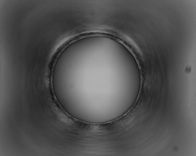X0000101171360200807181413