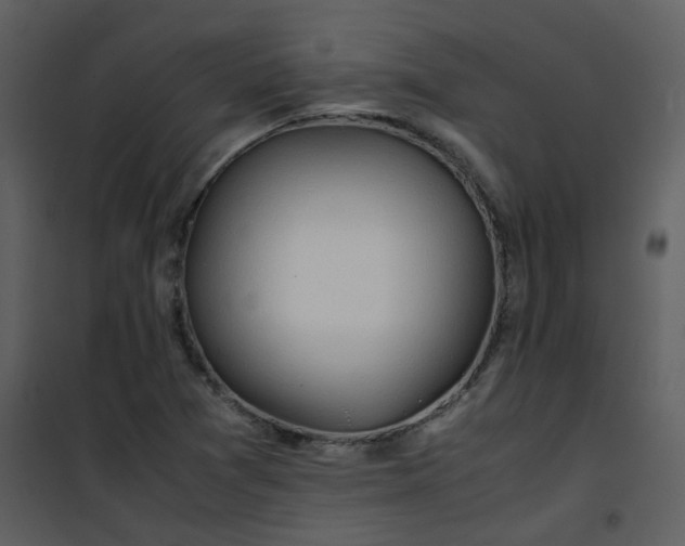 X0000101171361200807181413