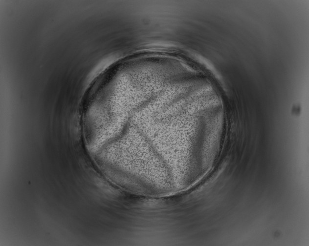 X0000101171362200807181413