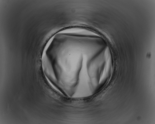 X0000101171363200807181413