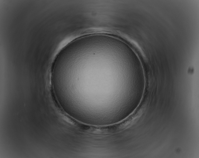 X0000101171365200807181413