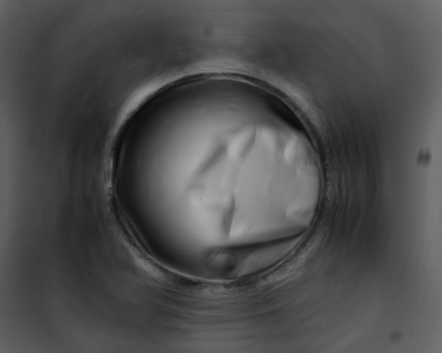 X0000101171366200807181413