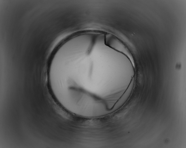 X0000101171368200807181413