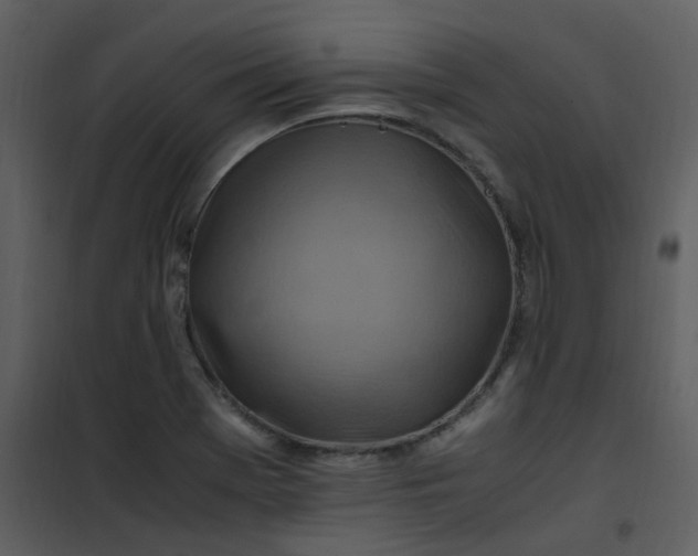 X0000101171369200807181413