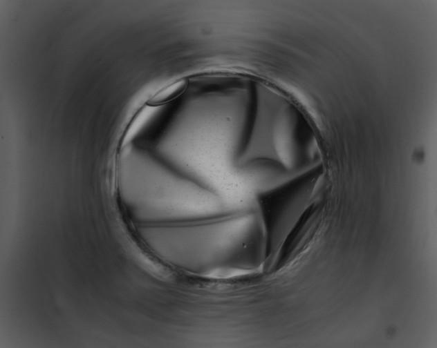 X0000101171371200807181413