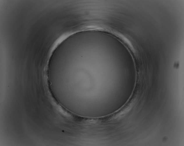 X0000101171373200807181413
