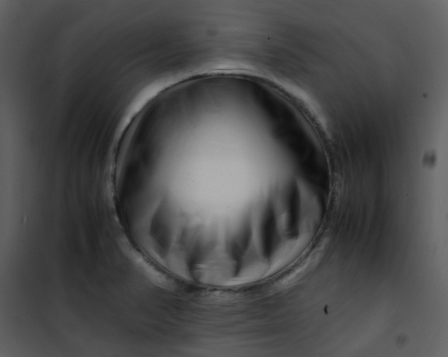 X0000101171374200807181413