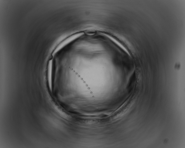 X0000101171375200807181413