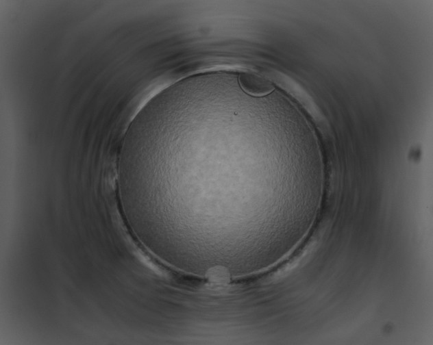 X0000101171377200807181413