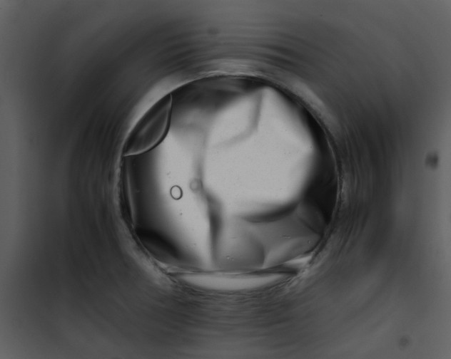 X0000101171378200807181413