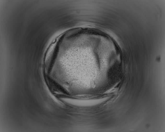 X0000101171379200807181412