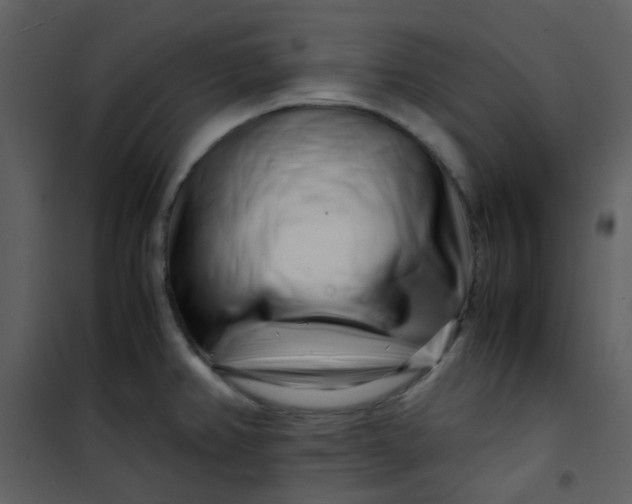 X0000101171382200807181412