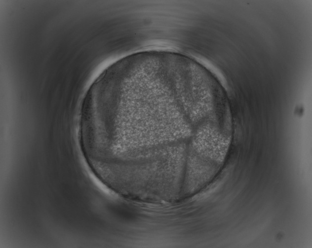 X0000101171383200807181412
