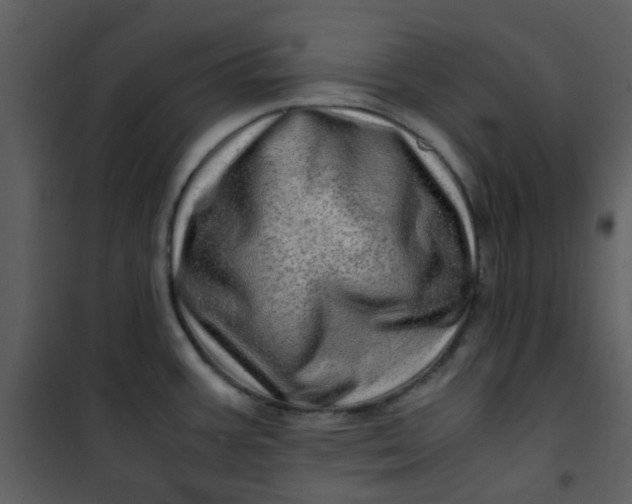 X0000101171387200807181412