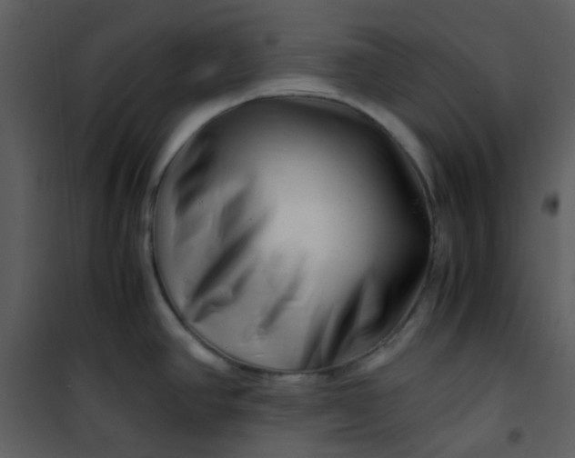 X0000101171390200807181412