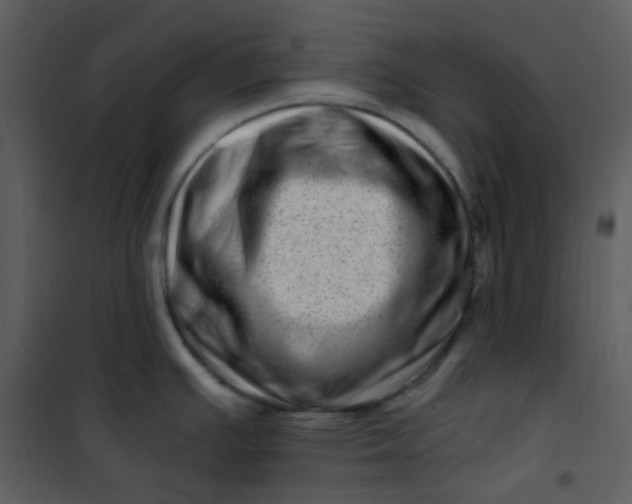 X0000101171391200807181412