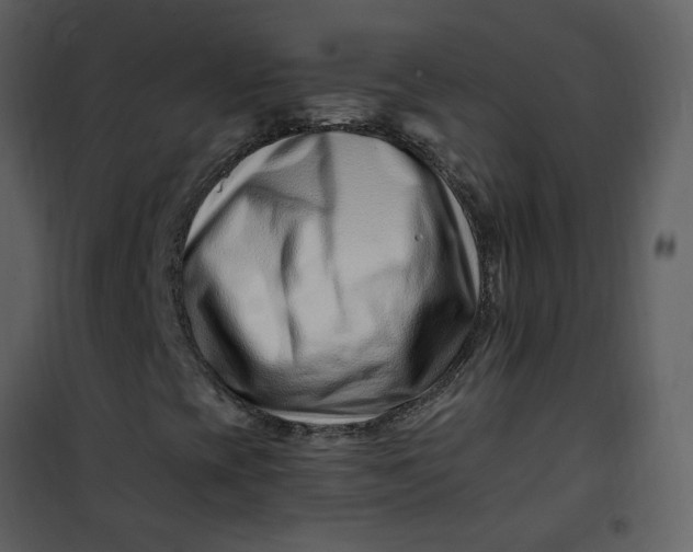 X0000101171393200807181412