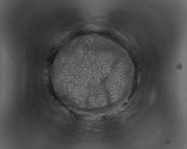 X0000101171397200807181412
