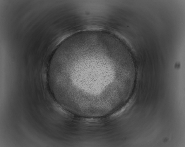 X0000101171401200807181412