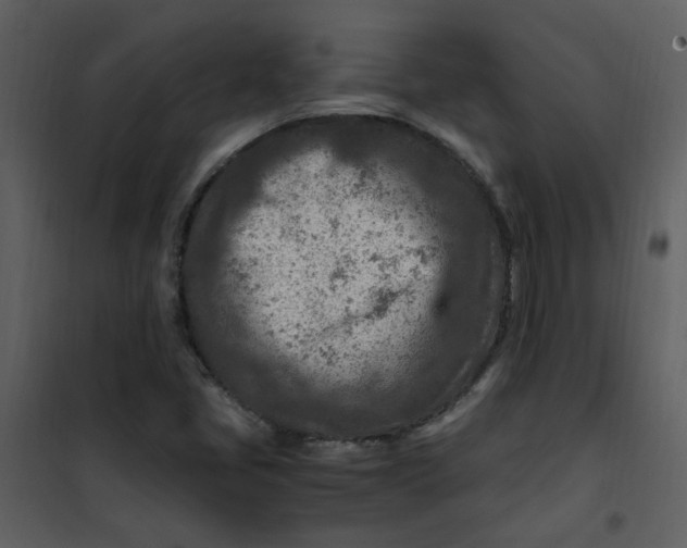 X0000101171405200807181412