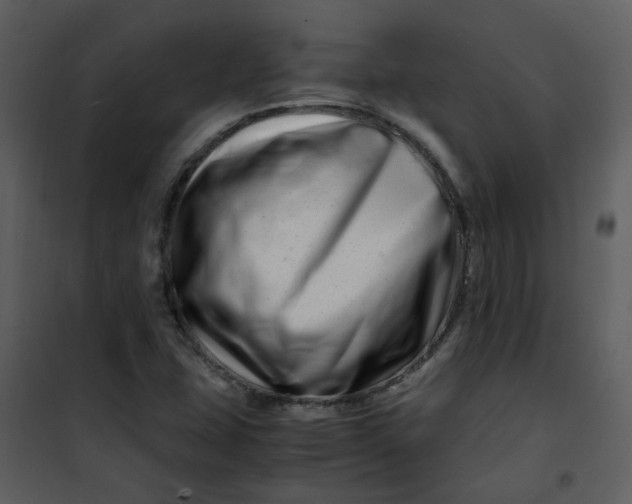 X0000101171407200807181412