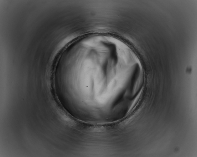X0000101171410200807181412