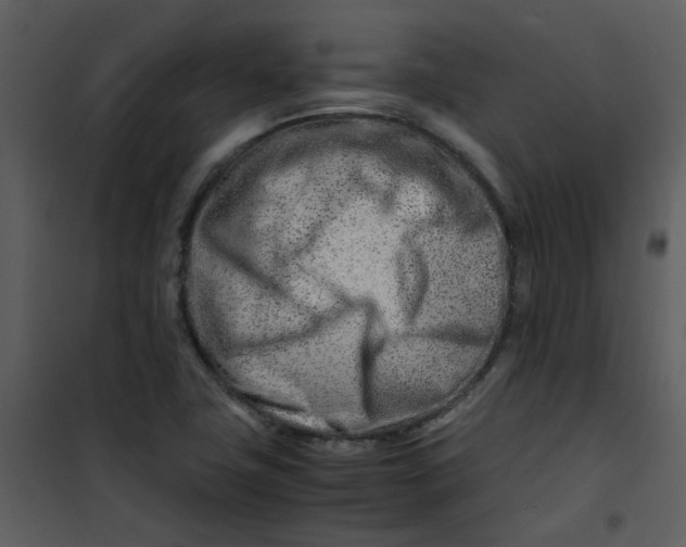 X0000101171411200807181412