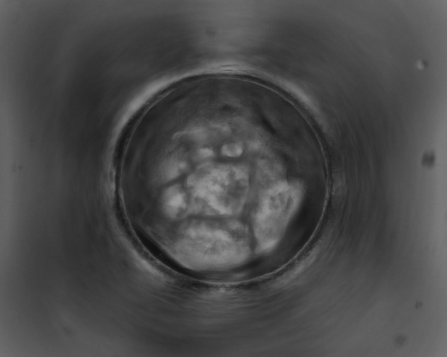 X0000101171414200807181412