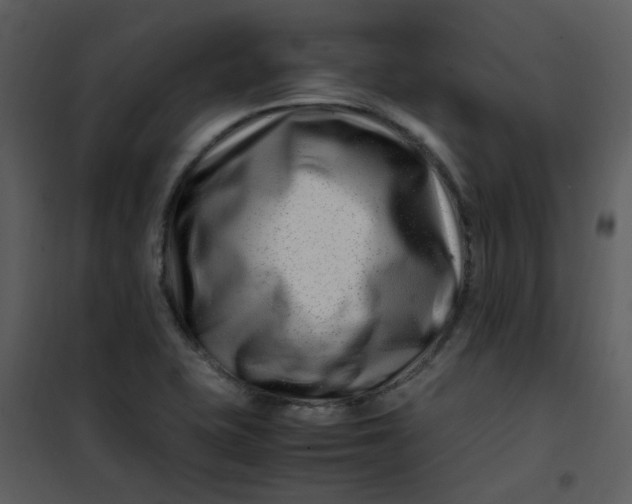 X0000101171415200807181412