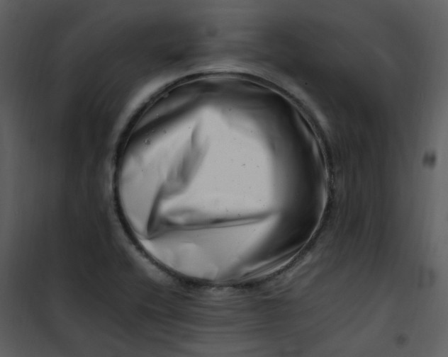 X0000101171416200807181412