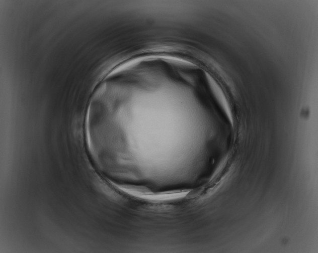 X0000101171417200807181412