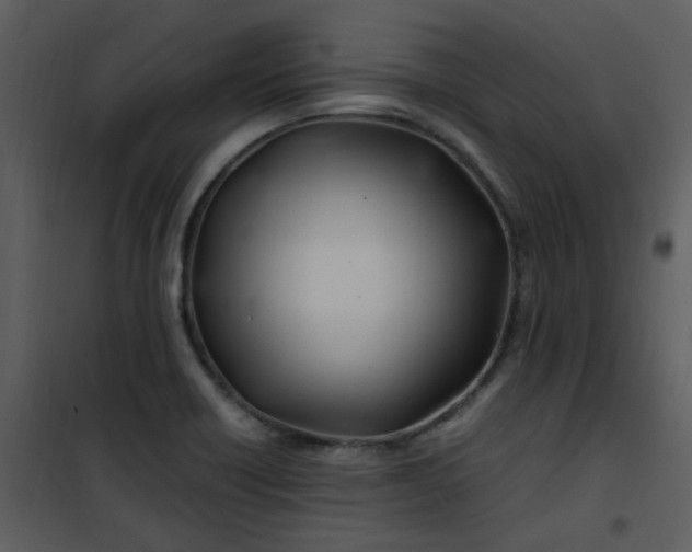 X0000101171418200807181412