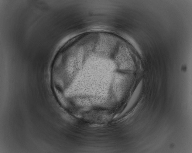 X0000101171419200807181412