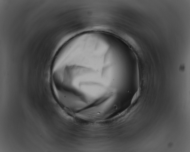 X0000101171420200807181412