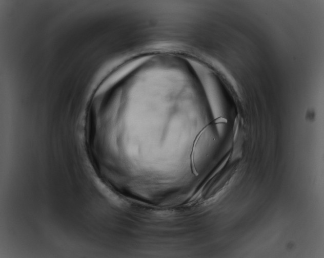 X0000101171421200807181412