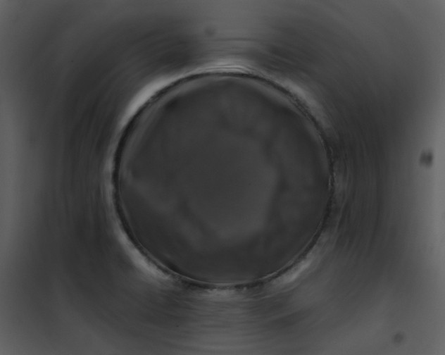 X0000101171422200807181412