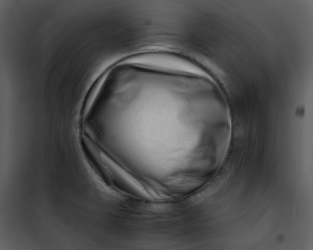 X0000101171423200807181412