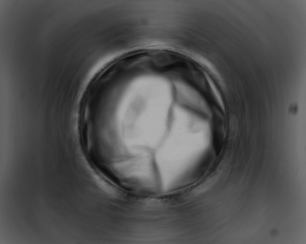 X0000101171424200807181412