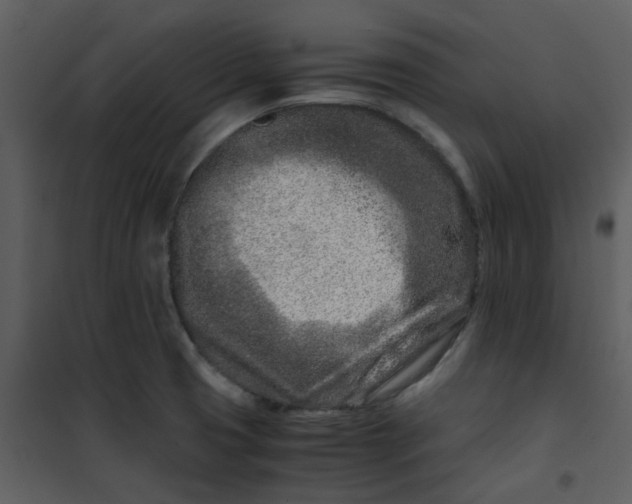 X0000101171425200807181412