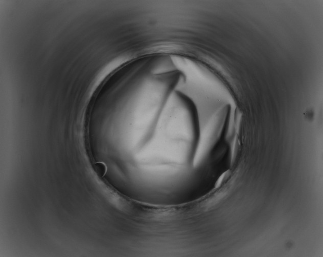 X0000101171426200807181412