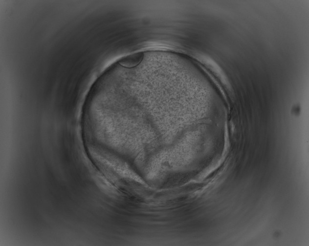 X0000101171427200807181412