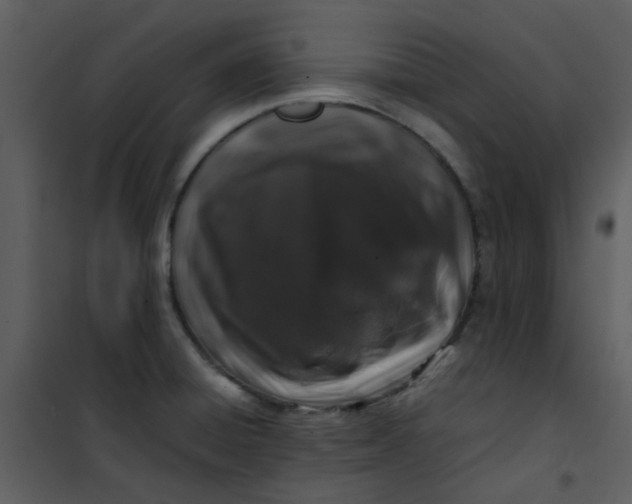 X0000101171428200807181412