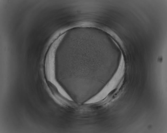 X0000101171429200807181412