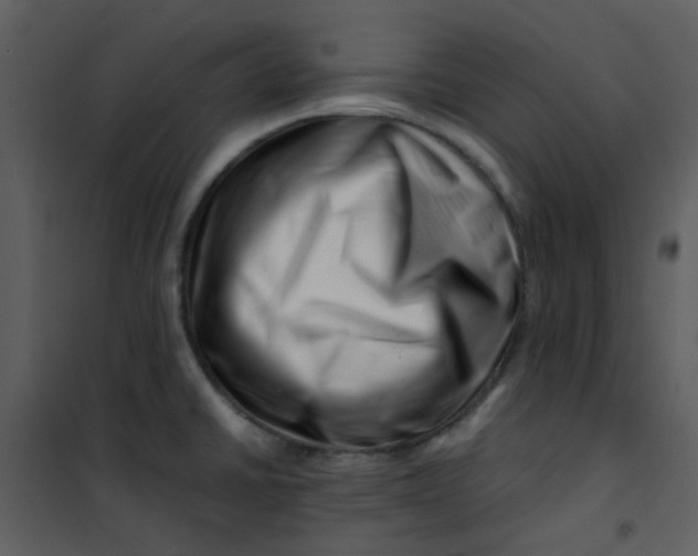 X0000101171430200807181412