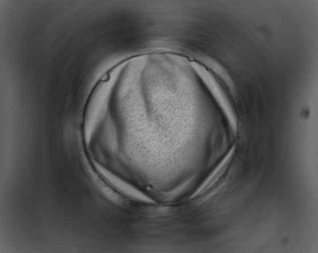 X0000101171431200807181412